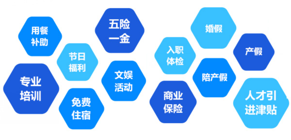 提供全面、系统、专业的培训和广阔的<br>职业发展空间和提升机会